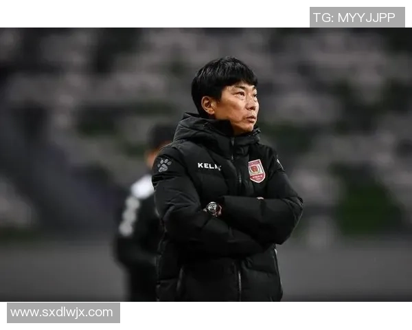 深圳排球队防反战术革新探秘助力球队崛起与发展