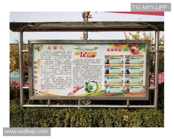 成都与南京足球队赛后心理素质分析及其对比赛结果的影响探讨